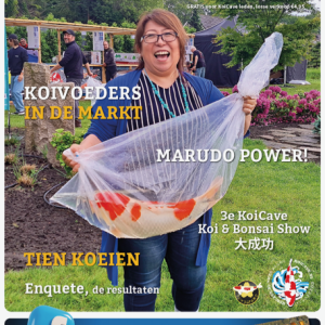 KoiSplash Augustus 2024