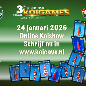 KoiCave Online koishow 2026 - hobbyist