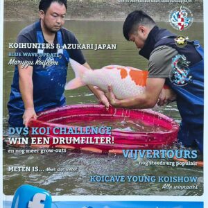 KoiSplash December 2025