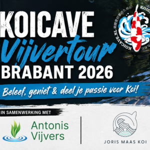 KoiCave vijvertour Brabant 2026